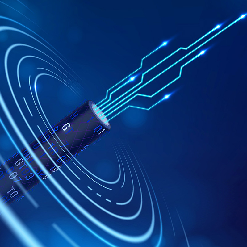 Lianou Electric Mempamerkan Produk Inovatif di Ekspo Elektrik Antarabangsa, Menerajui Trend Hijau